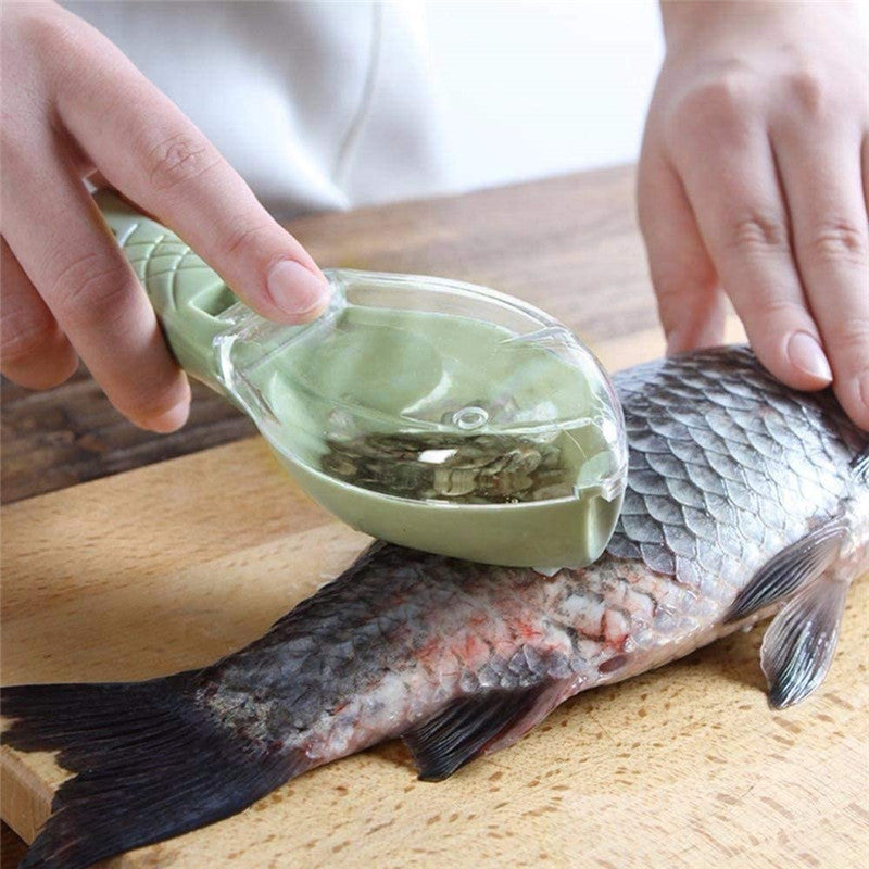 Fish Scaler Brush for Cleaning, Peeling, and Skin Removal